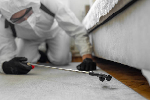 Professional Termite Control technician working in Kraemer, LA