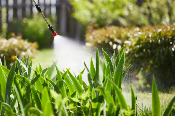 24/7 Emergency Termite Control experts in Kraemer, LA