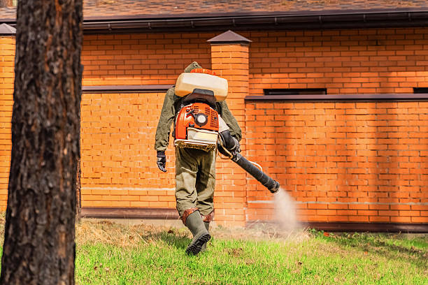 Trusted Cockroach Control service in Kraemer, LA - Nex Pest Control